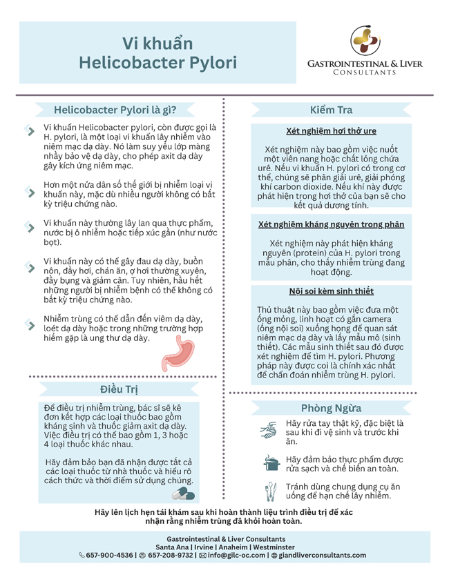 Helicobacter Pylori Bacteria