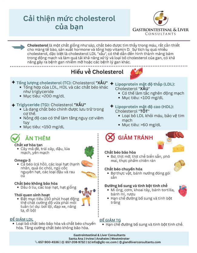 Vietnamese Improve your Cholesteral